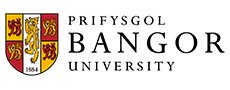 bangor-logo.original